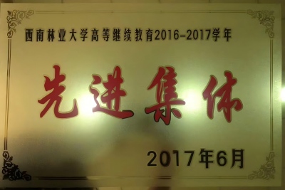 6西林 先进单位（2016-2017）.jpg