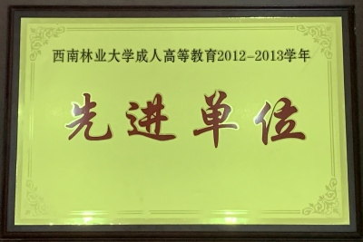 1西林 先进单位（2012-2013）.jpg